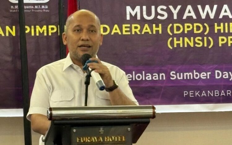 Junaidi, Ketua DPD HNSI Provinsi Riau